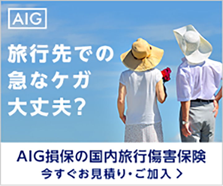 国内旅行損害保険